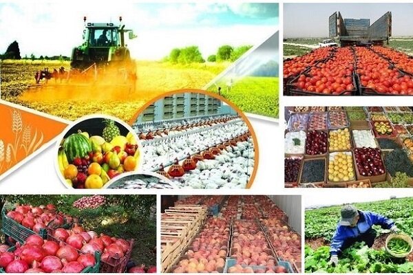 نقش ویژه کشاورزی در تحقق «جهش تولید»؛ جای خالی سرمایه‌گذار در صنایع تبدیلی